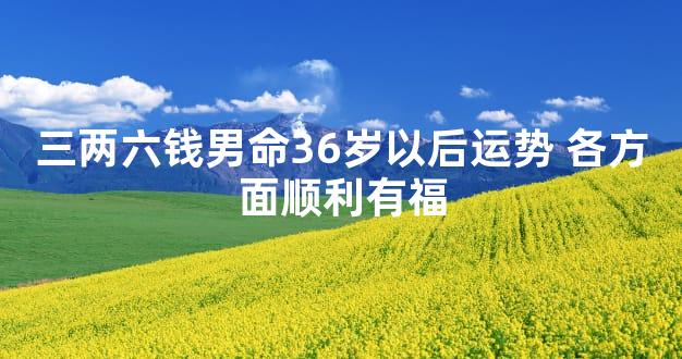 三两六钱男命36岁以后运势 各方面顺利有福